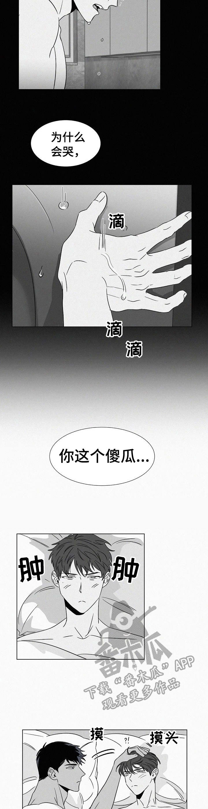 《狂野美丽》漫画最新章节第38章：哭了免费下拉式在线观看章节第【2】张图片