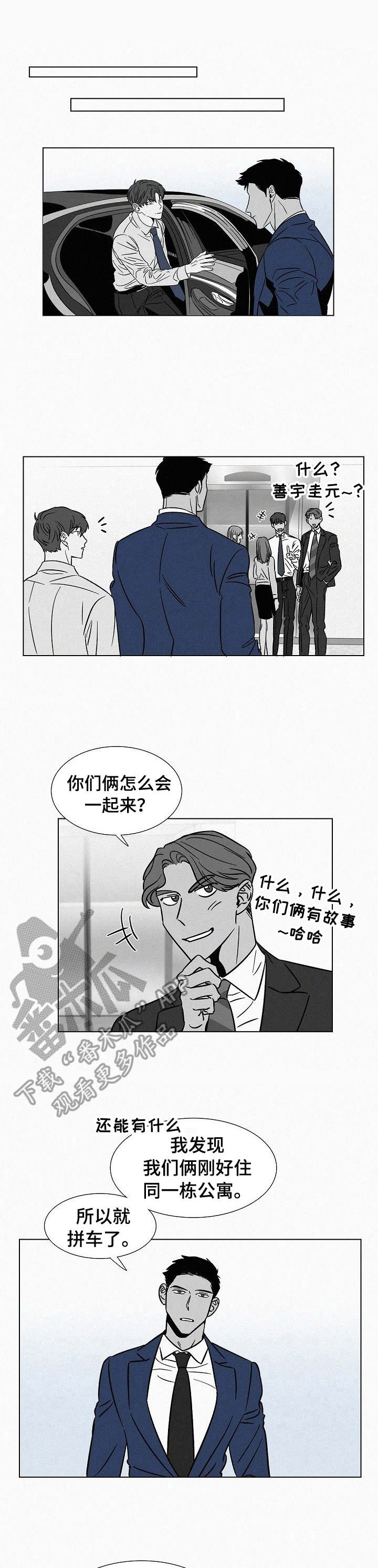 《狂野美丽》漫画最新章节第40章：牵着鼻子走免费下拉式在线观看章节第【11】张图片