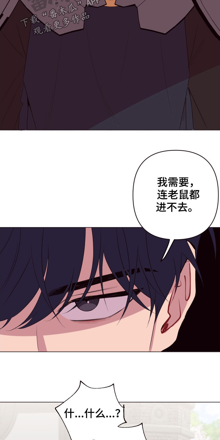 《糟糕异次元》漫画最新章节第55章：最后一次机会免费下拉式在线观看章节第【4】张图片