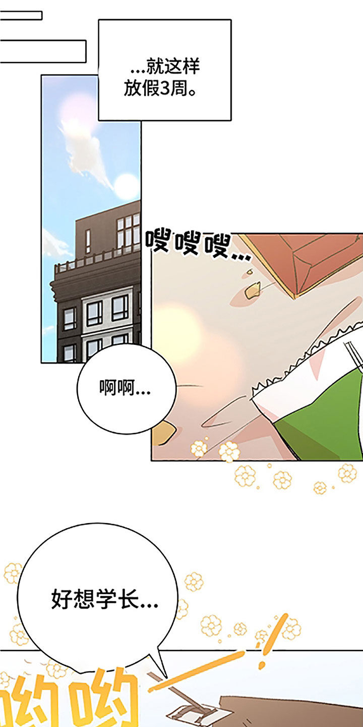 《隐秘直播》漫画最新章节第49章：【番外】全职打工免费下拉式在线观看章节第【5】张图片