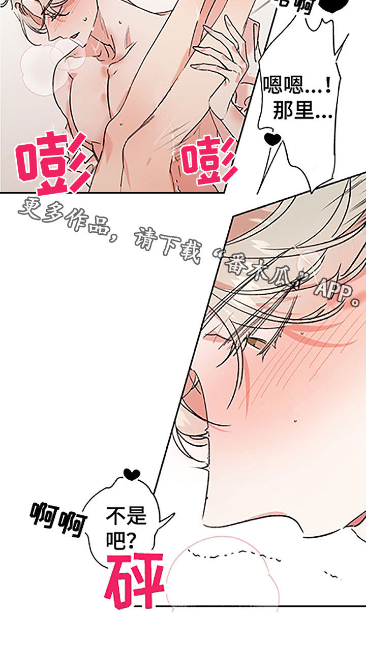 《隐秘直播》漫画最新章节第53章：【番外】不是吧免费下拉式在线观看章节第【1】张图片