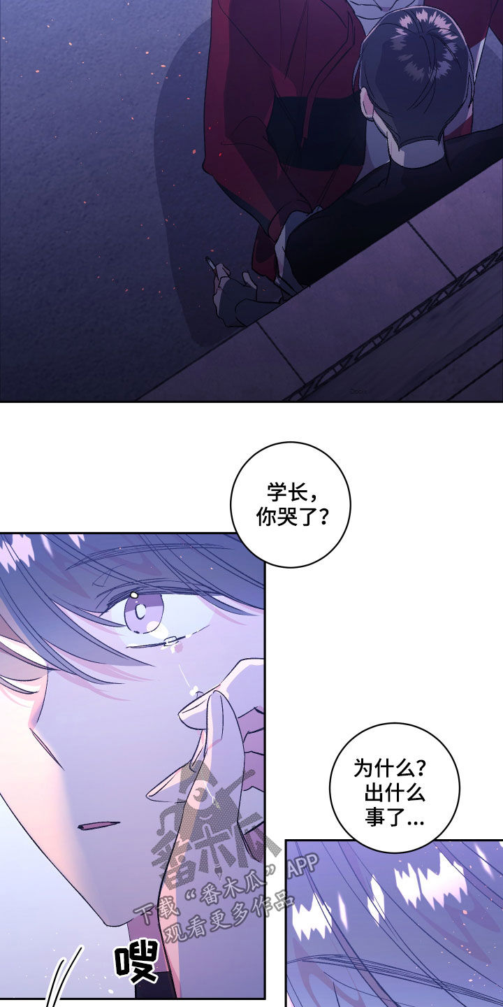 《隐秘直播》漫画最新章节第59章：【番外】墓园免费下拉式在线观看章节第【17】张图片