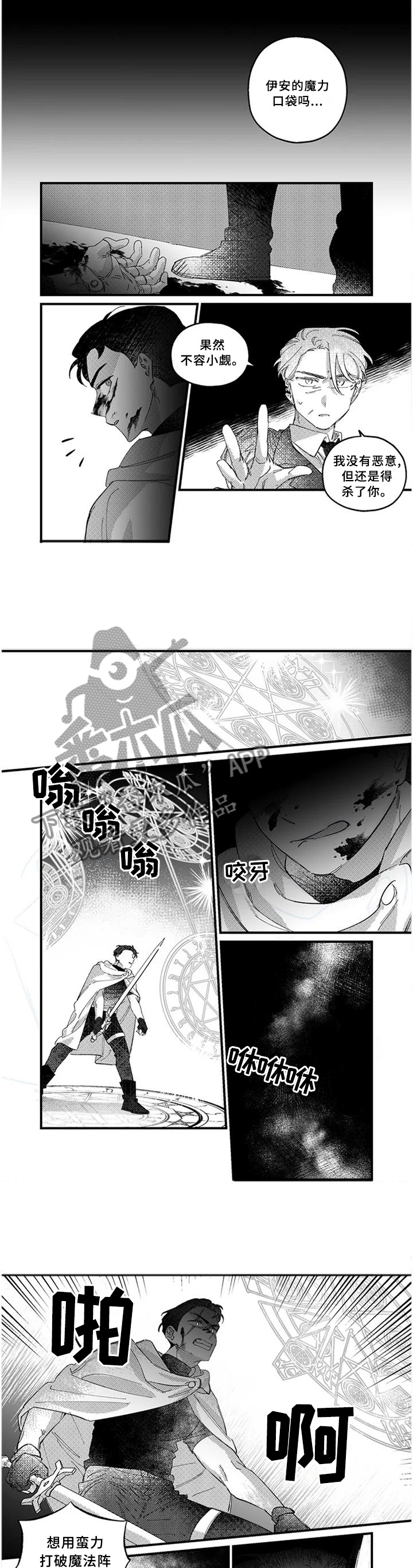 《半魔法师》漫画最新章节第19章：激战之后免费下拉式在线观看章节第【4】张图片