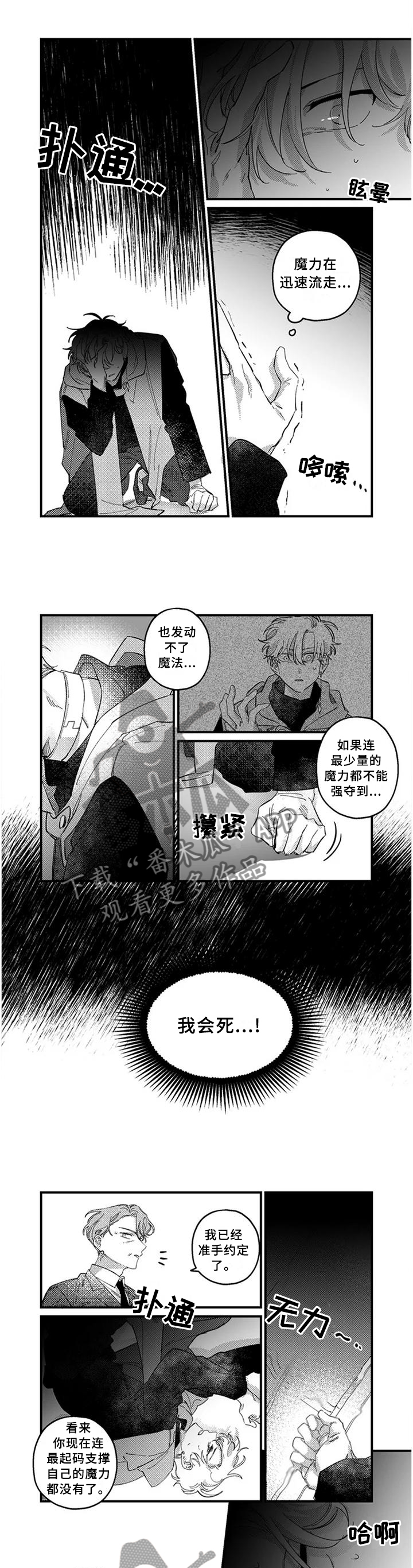 《半魔法师》漫画最新章节第19章：激战之后免费下拉式在线观看章节第【10】张图片