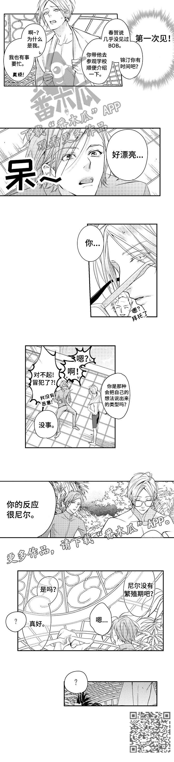 《BOB世界》漫画最新章节第3章：学校免费下拉式在线观看章节第【3】张图片