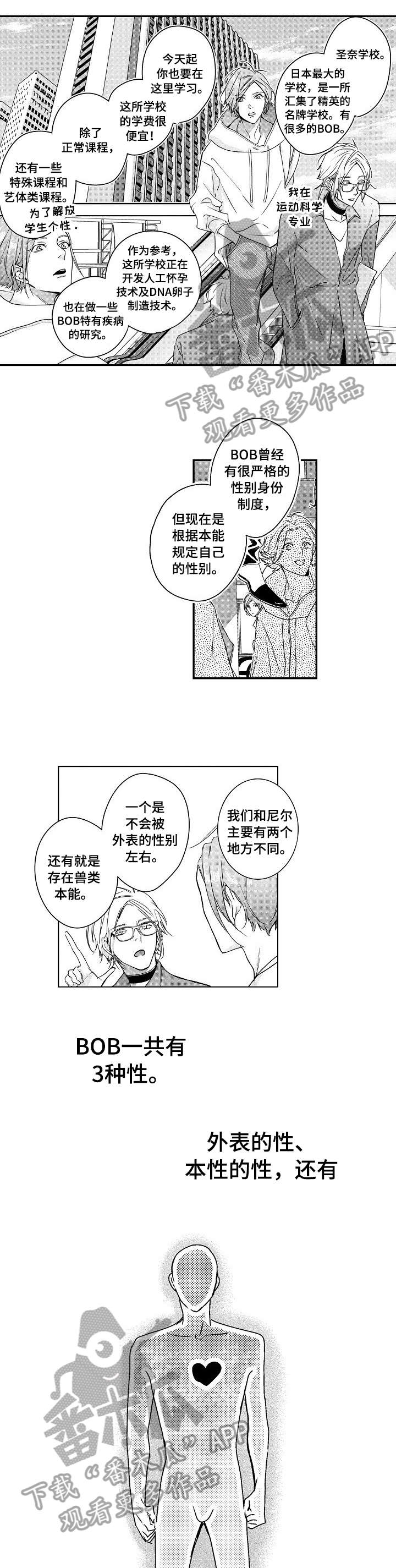 《BOB世界》漫画最新章节第3章：学校免费下拉式在线观看章节第【2】张图片