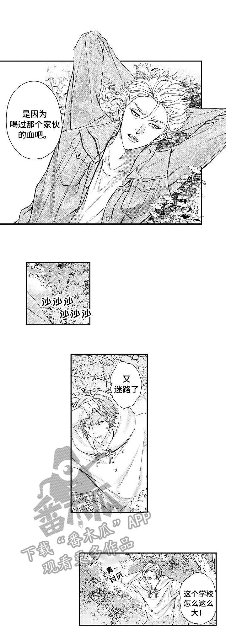 《BOB世界》漫画最新章节第18章：血免费下拉式在线观看章节第【8】张图片