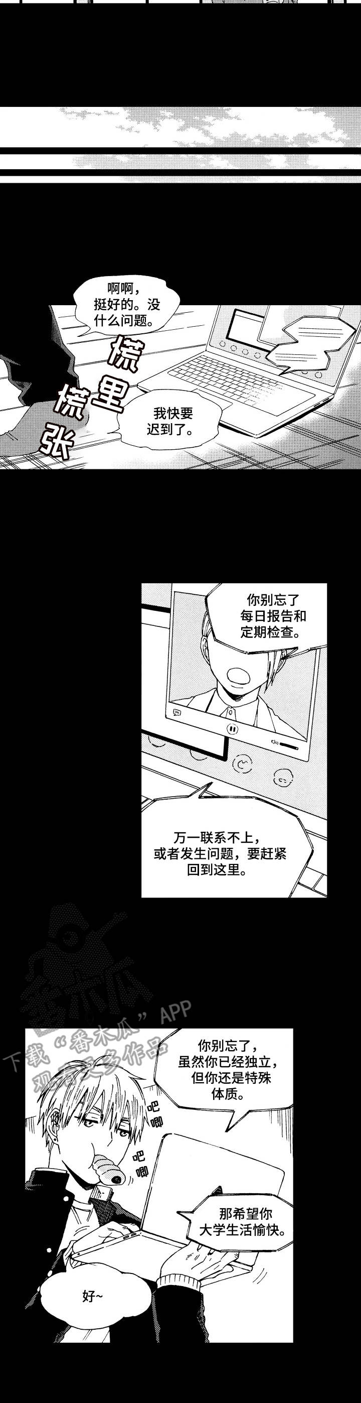 《沙迦与岚传》漫画最新章节第10章：特别的存在免费下拉式在线观看章节第【3】张图片