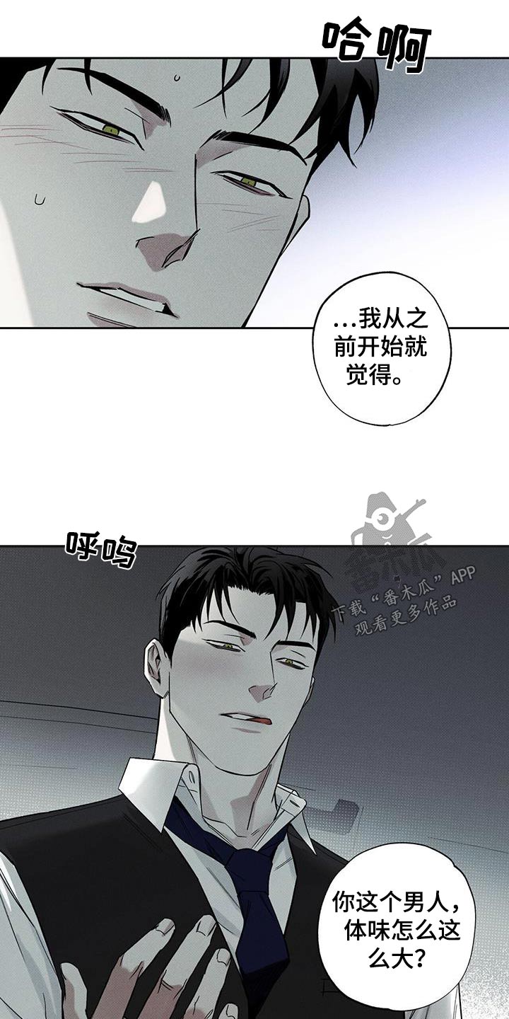 《送上门的爱》漫画最新章节第74章：【第二季】为什么离开免费下拉式在线观看章节第【17】张图片