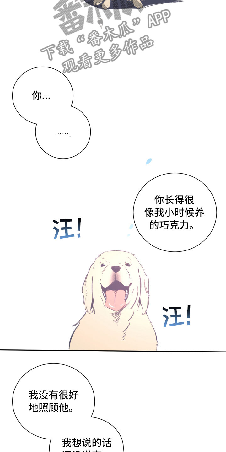 《与你永眠》漫画最新章节第25章：重逢免费下拉式在线观看章节第【3】张图片