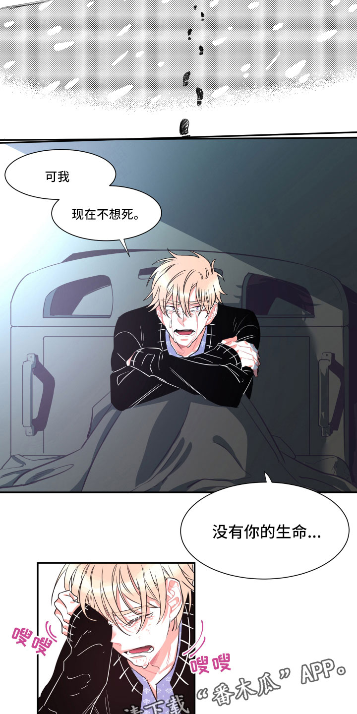 《与你永眠》漫画最新章节第33章：真心免费下拉式在线观看章节第【10】张图片