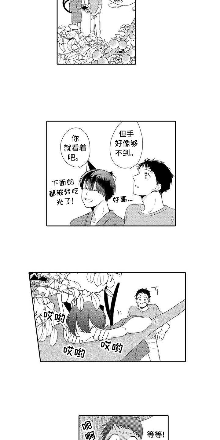 《山神是猫妖》漫画最新章节第3章：摘果子免费下拉式在线观看章节第【6】张图片