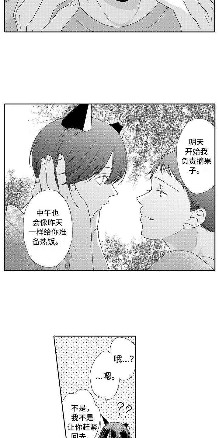 《山神是猫妖》漫画最新章节第4章：心情奇怪免费下拉式在线观看章节第【5】张图片