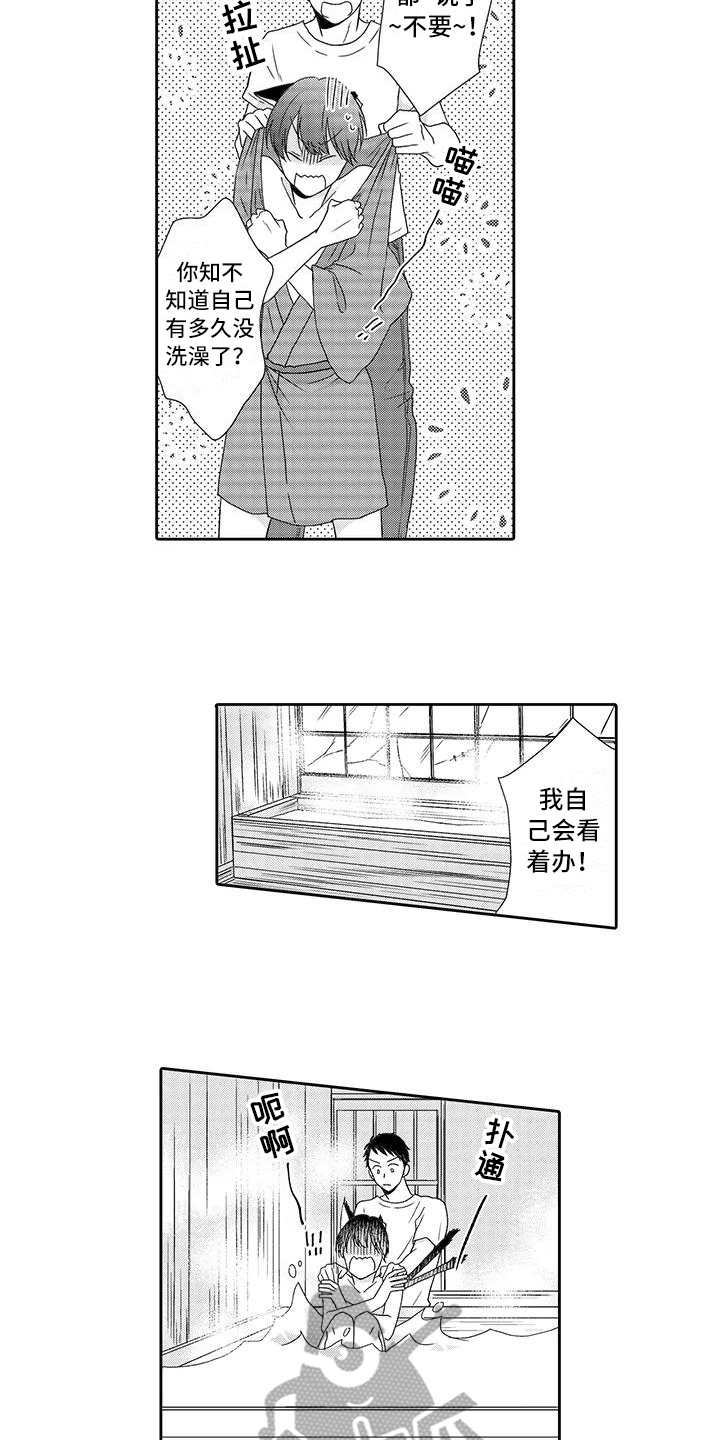 《山神是猫妖》漫画最新章节第6章：照顾免费下拉式在线观看章节第【5】张图片