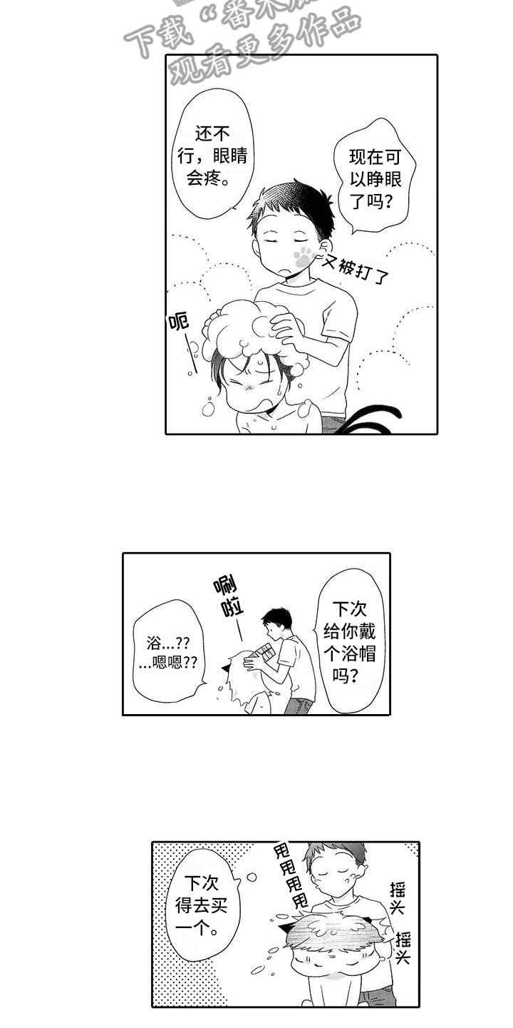 《山神是猫妖》漫画最新章节第6章：照顾免费下拉式在线观看章节第【2】张图片