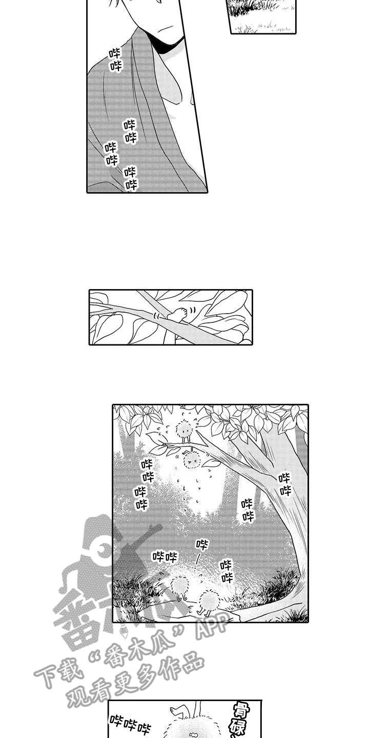 《山神是猫妖》漫画最新章节第7章：小精灵免费下拉式在线观看章节第【5】张图片