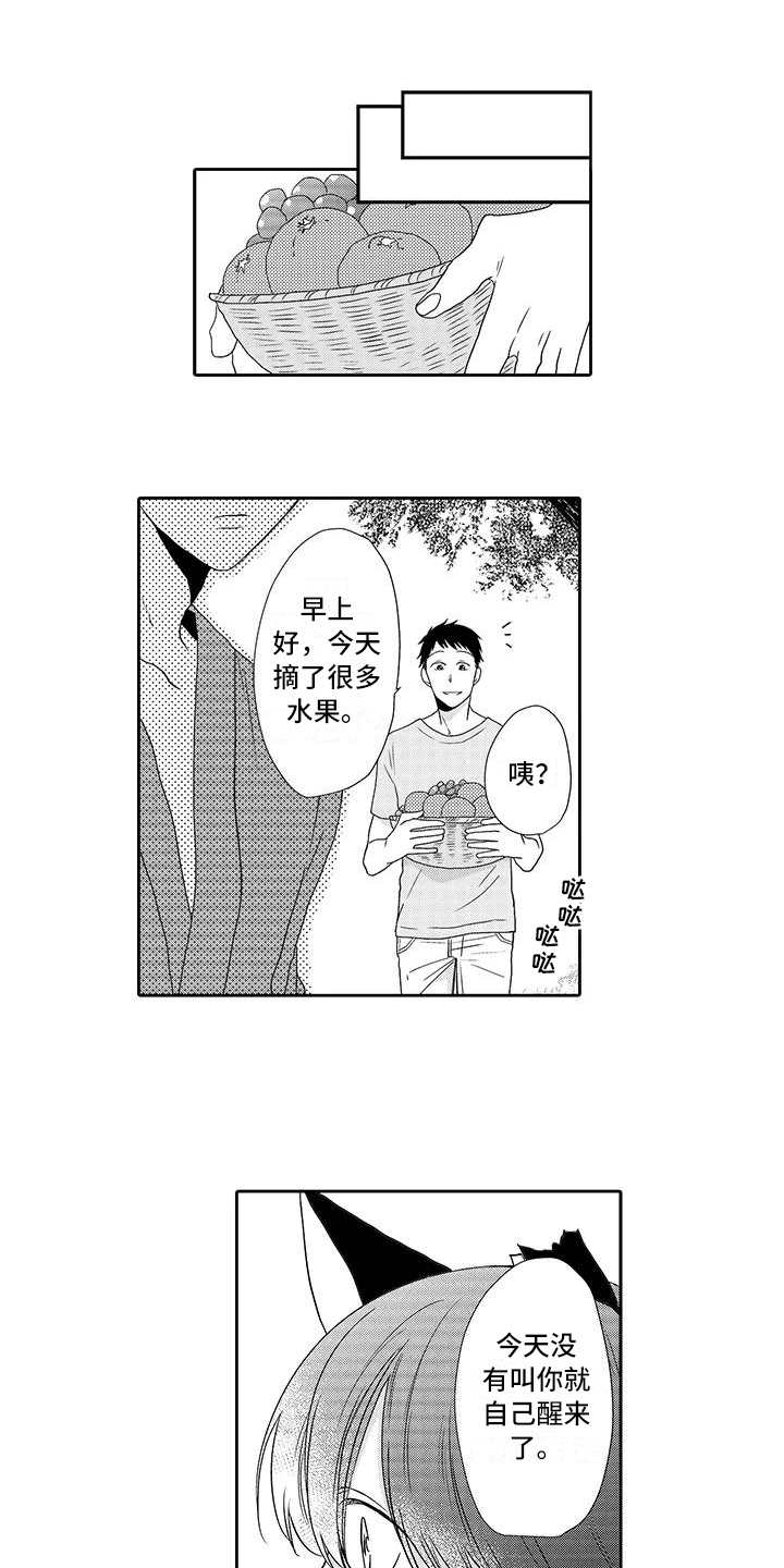 《山神是猫妖》漫画最新章节第7章：小精灵免费下拉式在线观看章节第【8】张图片