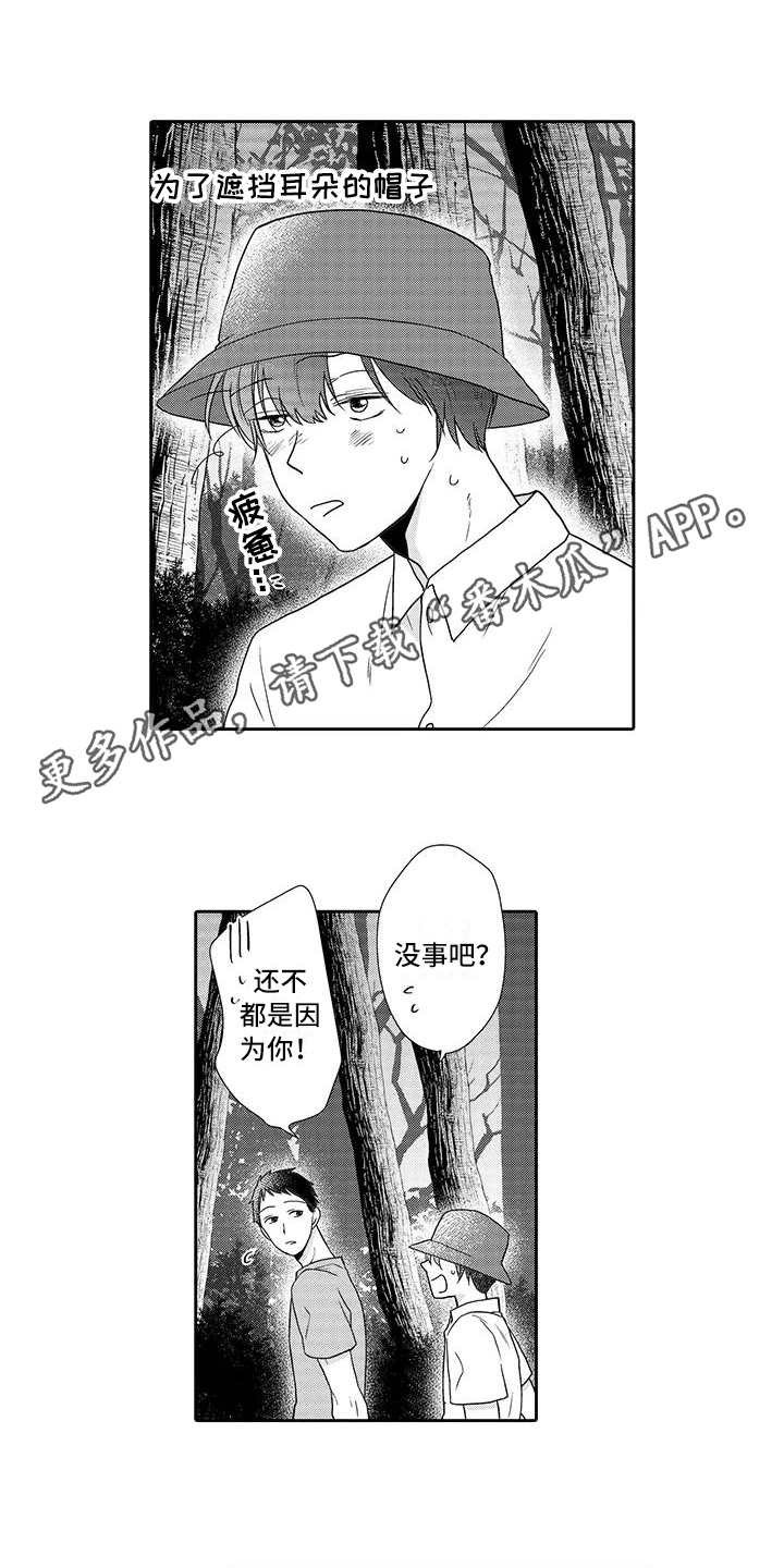 《山神是猫妖》漫画最新章节第10章：庆典免费下拉式在线观看章节第【7】张图片