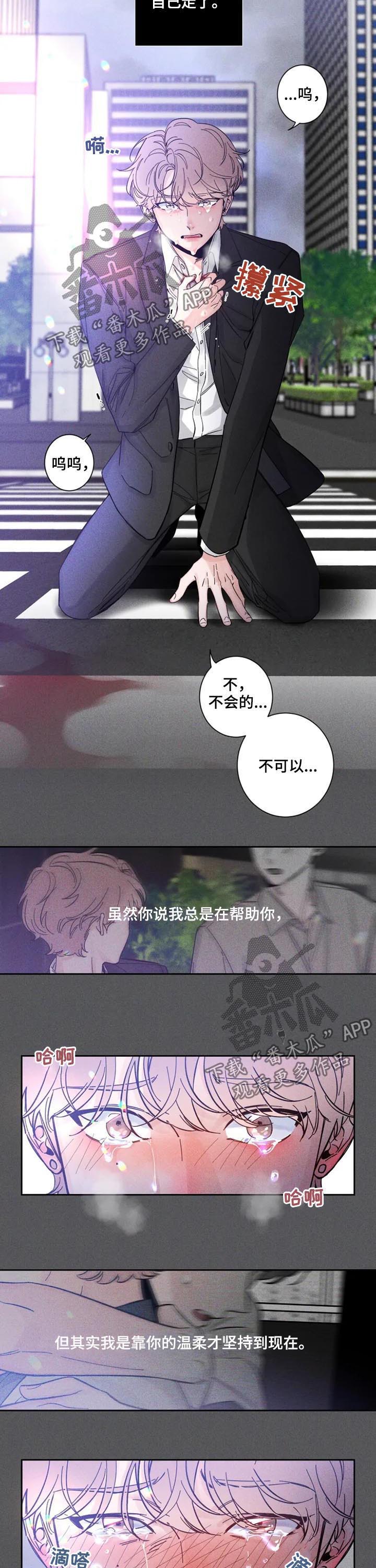 《初见心动》漫画最新章节第42章：车祸免费下拉式在线观看章节第【4】张图片