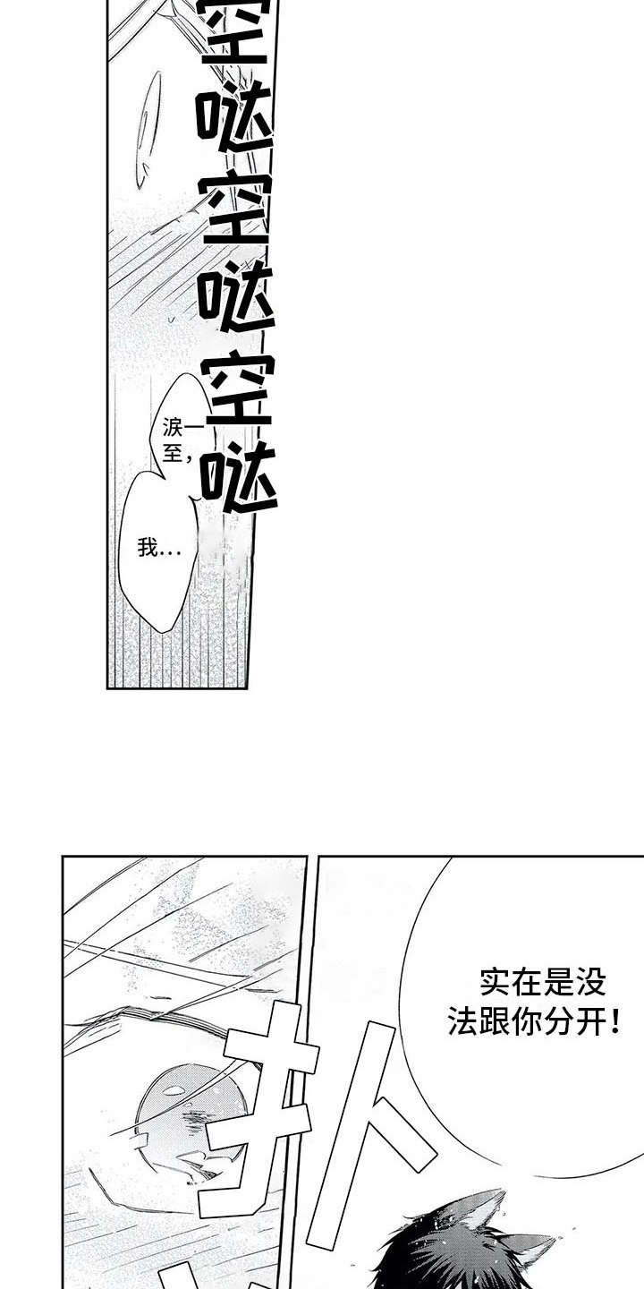 《兽人男友》漫画最新章节第12章：不再逃避免费下拉式在线观看章节第【9】张图片