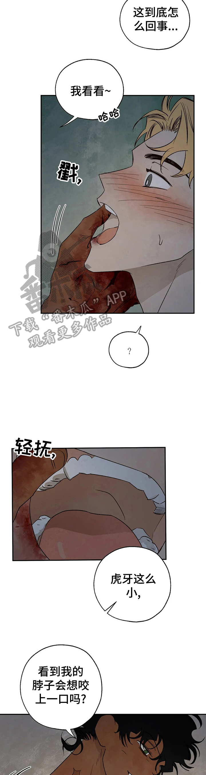 《血之诅咒》漫画最新章节第31章：询问免费下拉式在线观看章节第【5】张图片