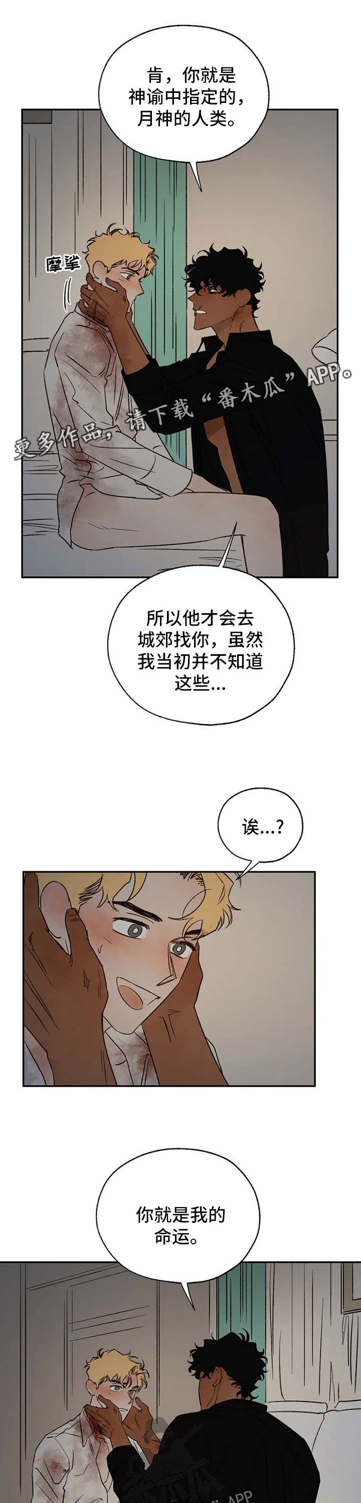 《血之诅咒》漫画最新章节第34章：神谕免费下拉式在线观看章节第【6】张图片