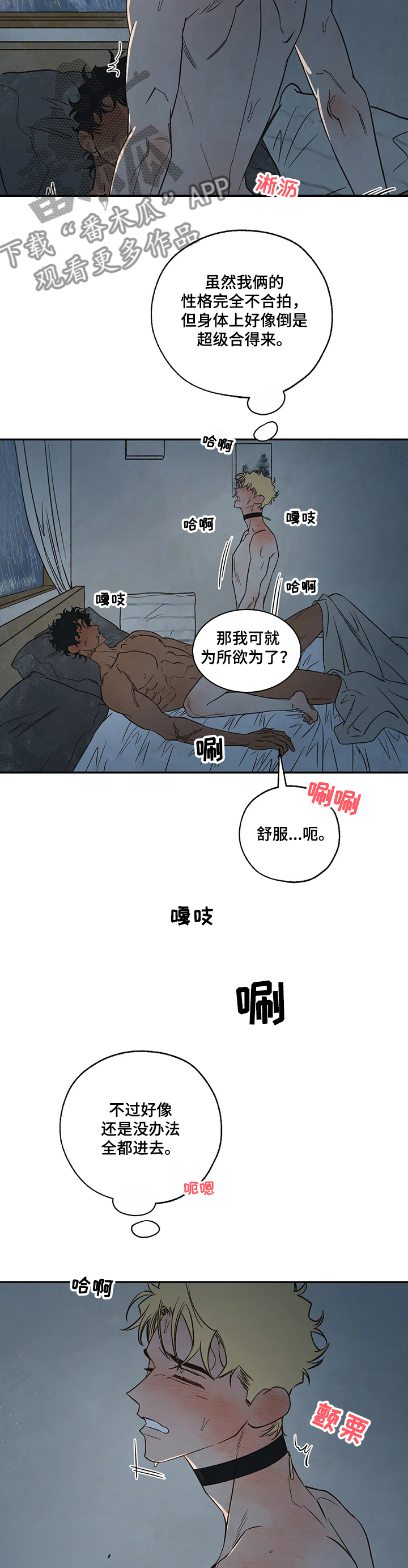 《血之诅咒》漫画最新章节第62章：工具人免费下拉式在线观看章节第【8】张图片