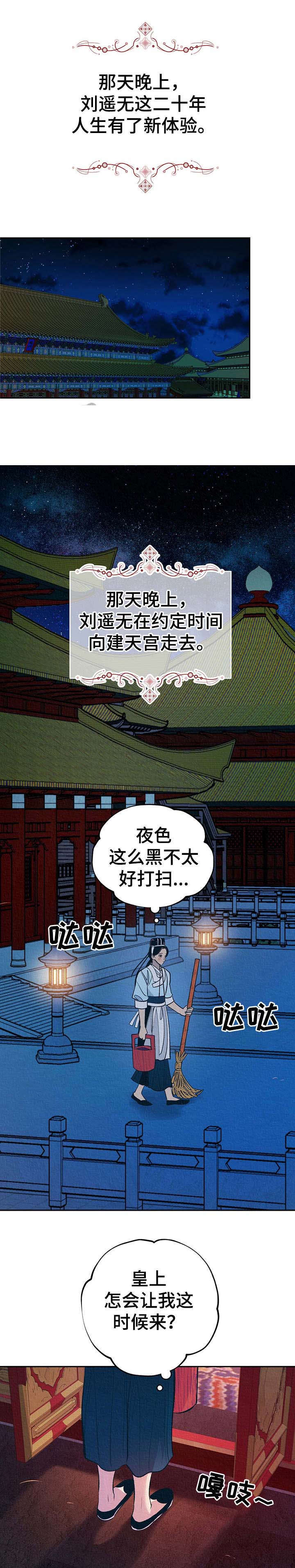 《皇帝秘闻》漫画最新章节第5章：夜晚召见免费下拉式在线观看章节第【9】张图片