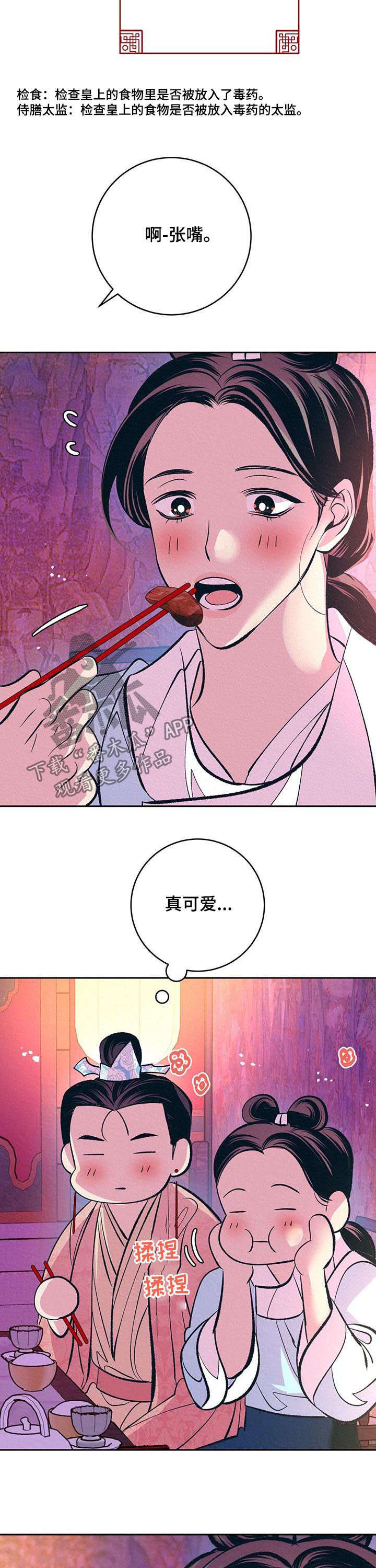 《皇帝秘闻》漫画最新章节第29章：番外：使臣来了免费下拉式在线观看章节第【16】张图片