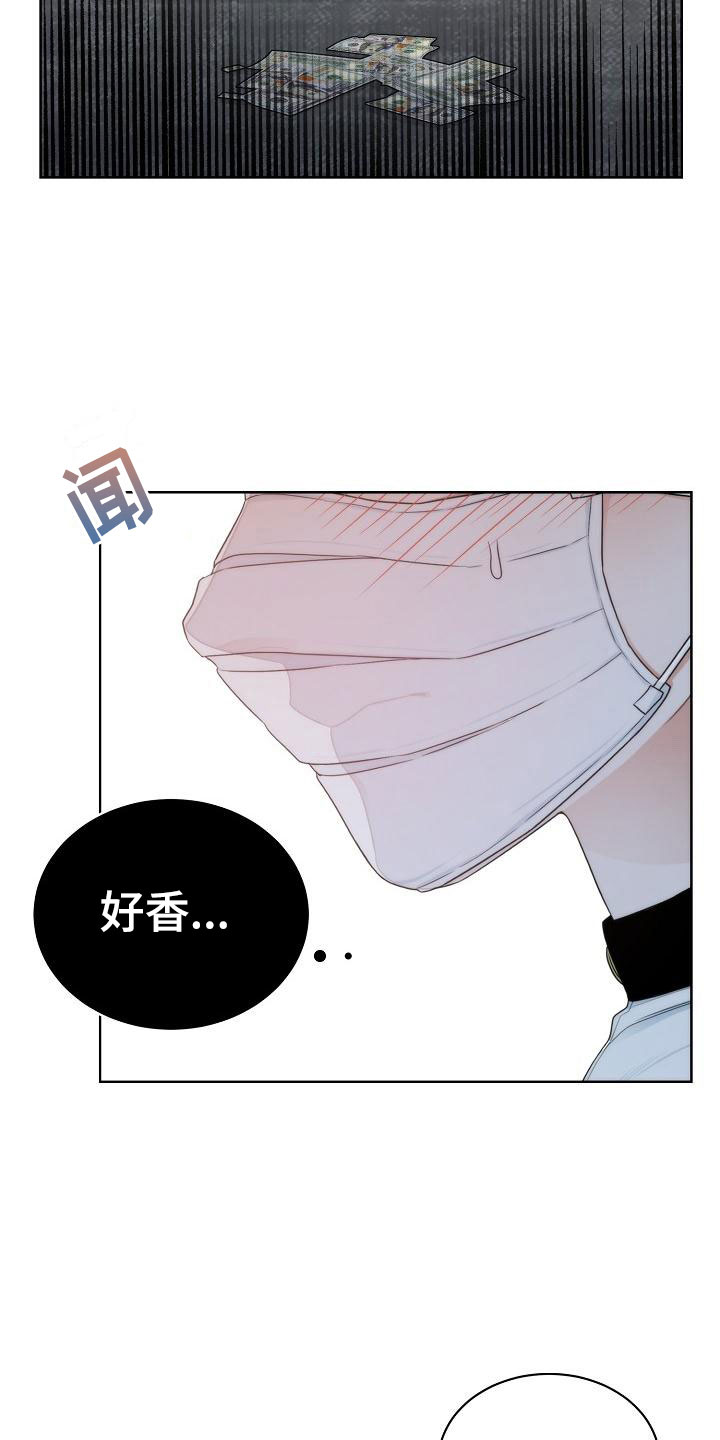 《失窃的宝物》漫画最新章节第1章：初遇免费下拉式在线观看章节第【15】张图片