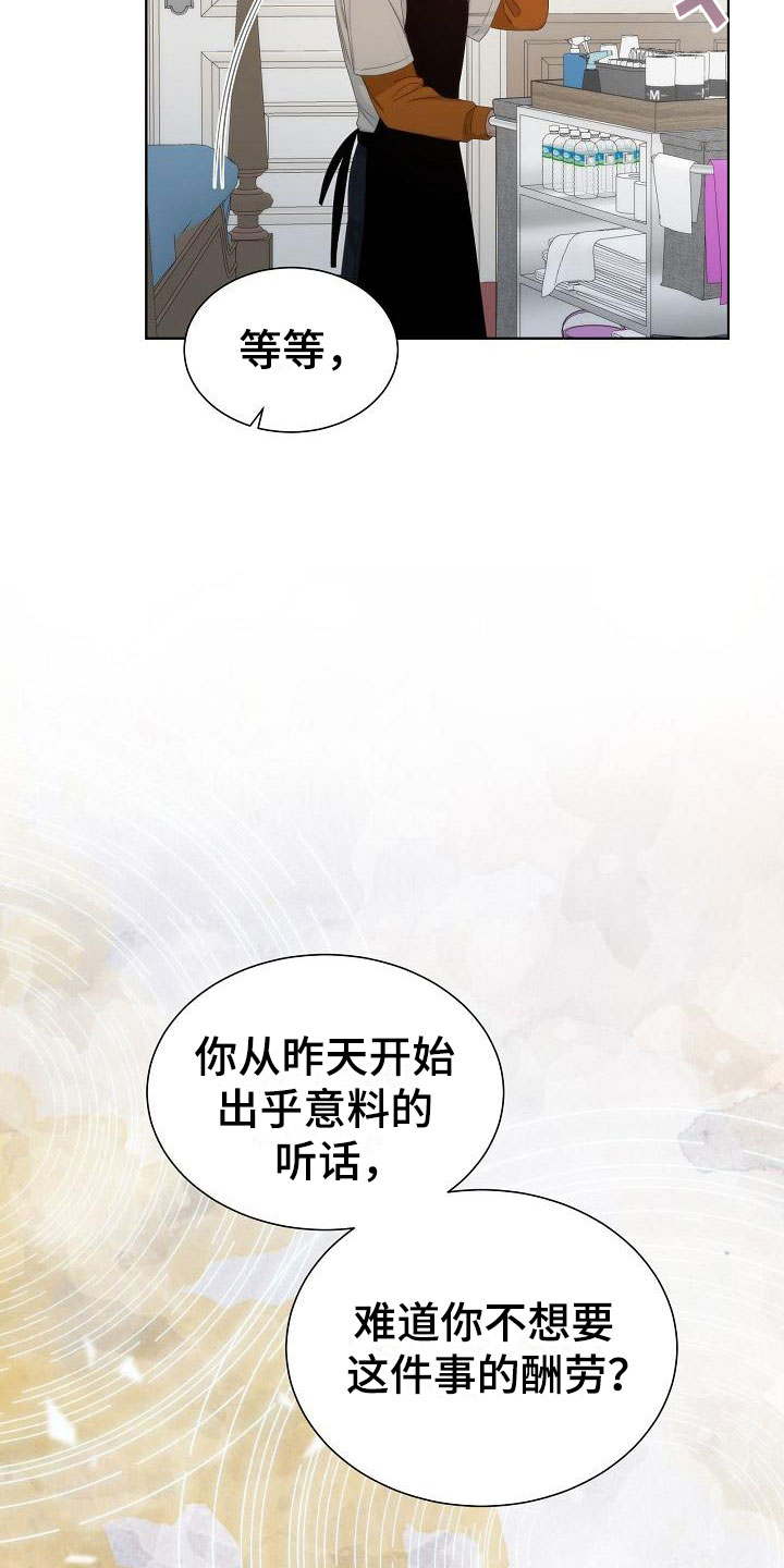 《失窃的宝物》漫画最新章节第6章：观察免费下拉式在线观看章节第【15】张图片