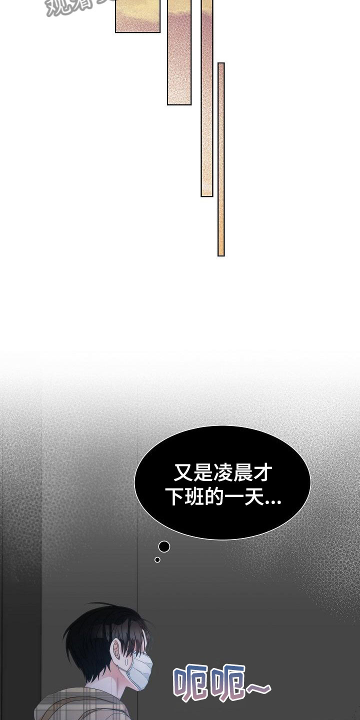 《失窃的宝物》漫画最新章节第8章：错认免费下拉式在线观看章节第【7】张图片