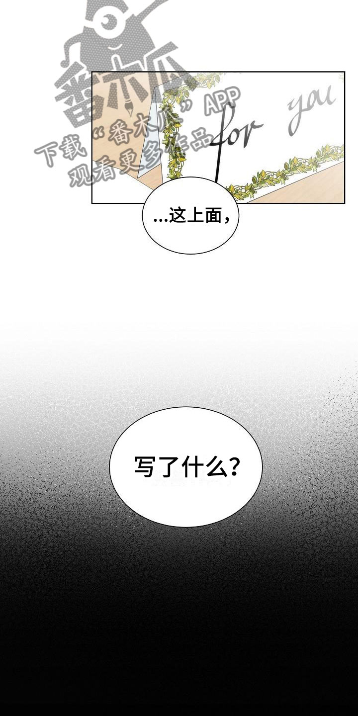 《失窃的宝物》漫画最新章节第8章：错认免费下拉式在线观看章节第【17】张图片