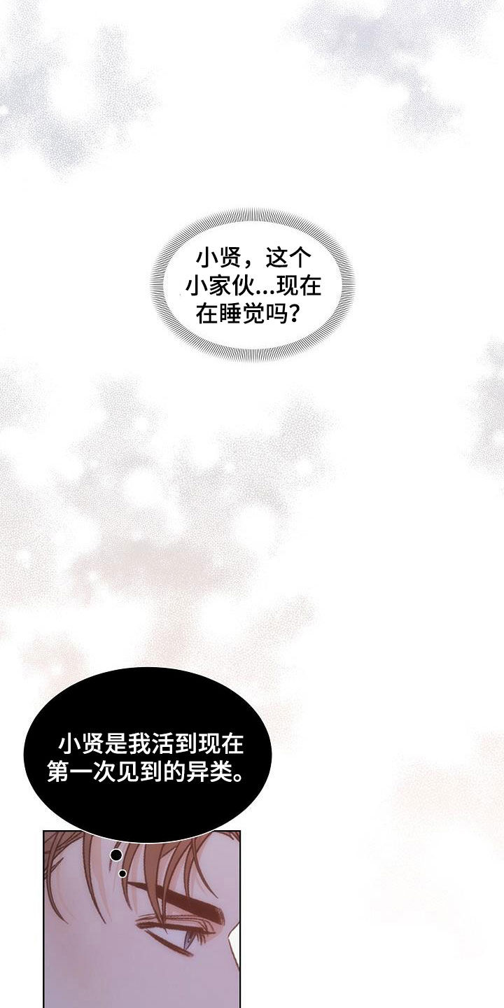 《失窃的宝物》漫画最新章节第29章：计划免费下拉式在线观看章节第【7】张图片