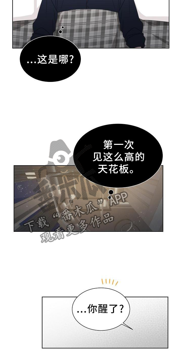 《失窃的宝物》漫画最新章节第34章：【第二季】小松鼠免费下拉式在线观看章节第【12】张图片