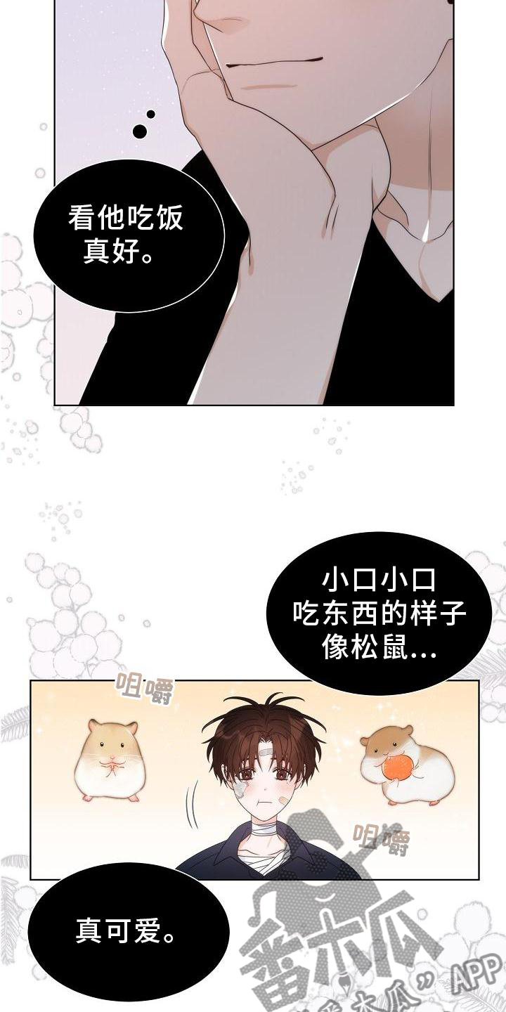 《失窃的宝物》漫画最新章节第34章：【第二季】小松鼠免费下拉式在线观看章节第【2】张图片