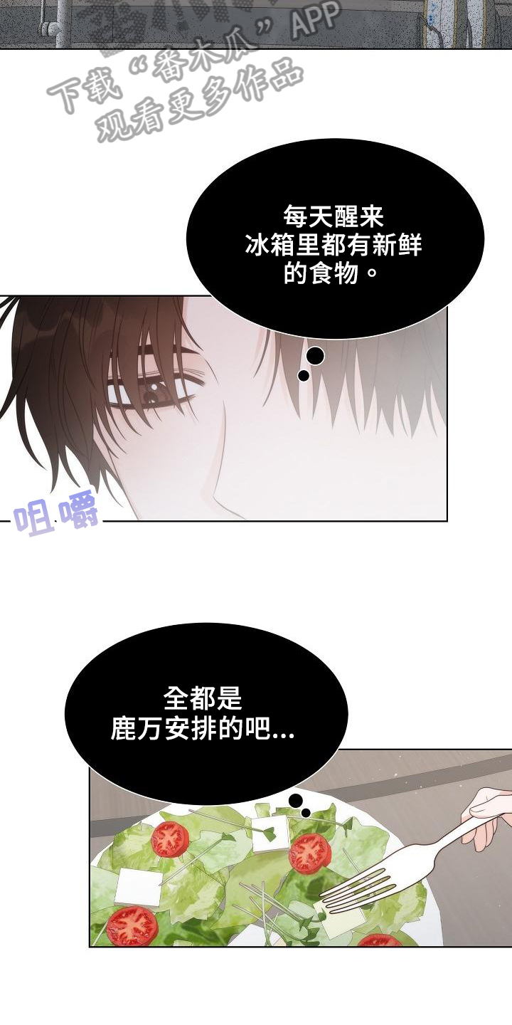 《失窃的宝物》漫画最新章节第40章：【第二季】想念免费下拉式在线观看章节第【12】张图片