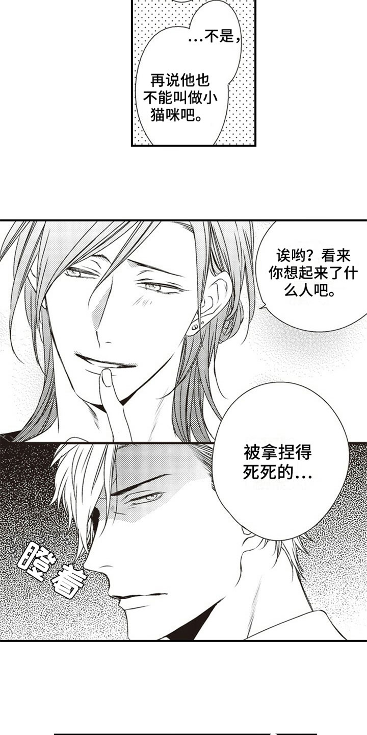 《爱的零距离》漫画最新章节第28章：决定免费下拉式在线观看章节第【9】张图片