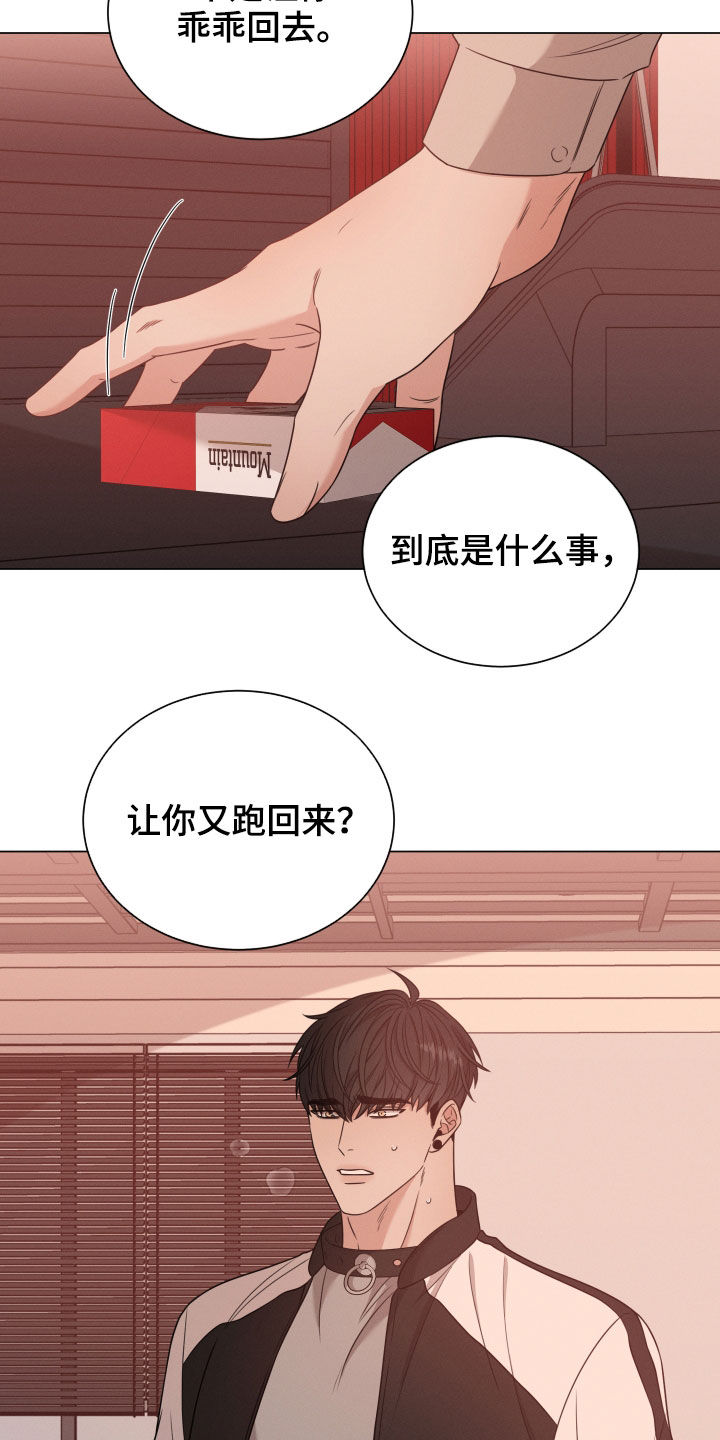 《唯你独闻》漫画最新章节第38章：放过他免费下拉式在线观看章节第【14】张图片