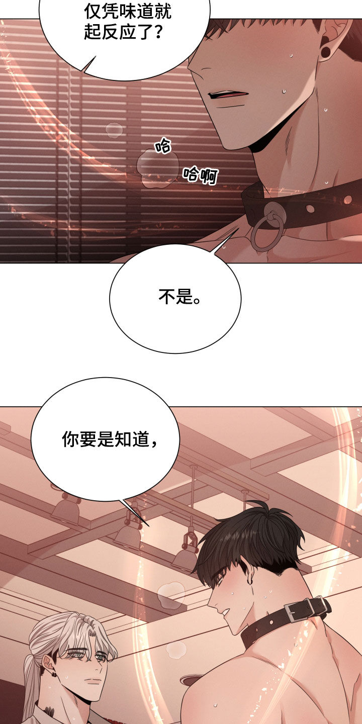 《唯你独闻》漫画最新章节第39章：唯一免费下拉式在线观看章节第【7】张图片