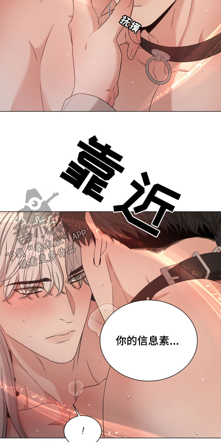 《唯你独闻》漫画最新章节第41章：没人可以动你免费下拉式在线观看章节第【12】张图片