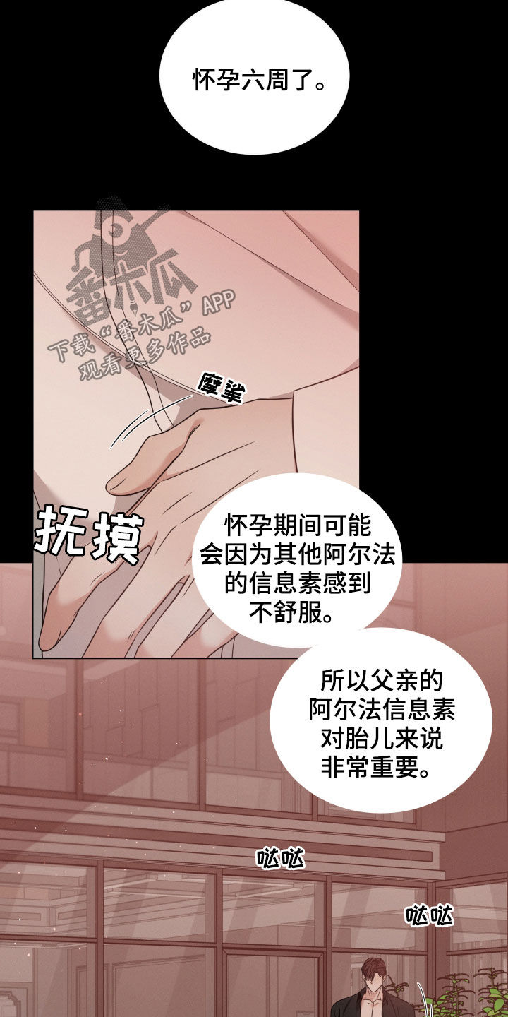 《唯你独闻》漫画最新章节第56章：怀孕免费下拉式在线观看章节第【4】张图片