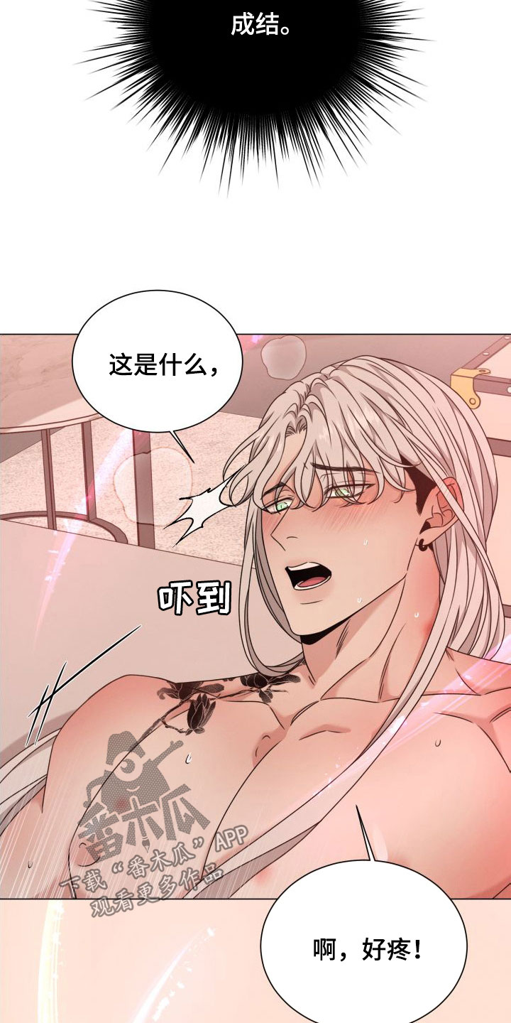 《唯你独闻》漫画最新章节第70章：【第二季】不要受伤免费下拉式在线观看章节第【7】张图片