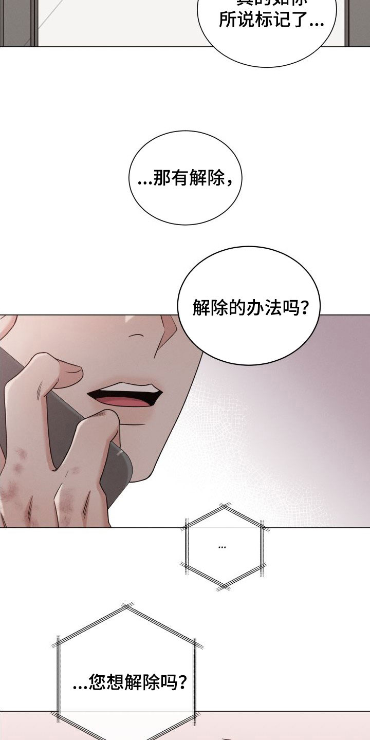 《唯你独闻》漫画最新章节第73章：【第二季】标记免费下拉式在线观看章节第【3】张图片