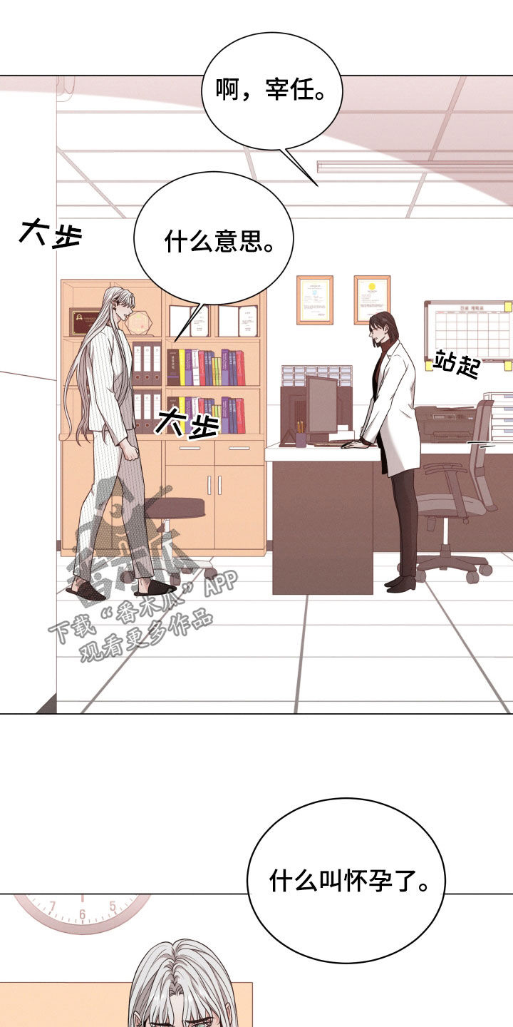 《唯你独闻》漫画最新章节第97章：【第二季】怀孕免费下拉式在线观看章节第【14】张图片