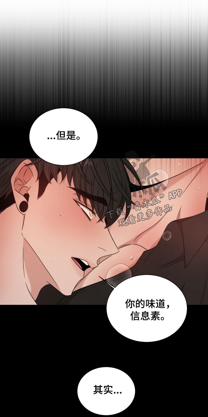 《唯你独闻》漫画最新章节第97章：【第二季】怀孕免费下拉式在线观看章节第【6】张图片