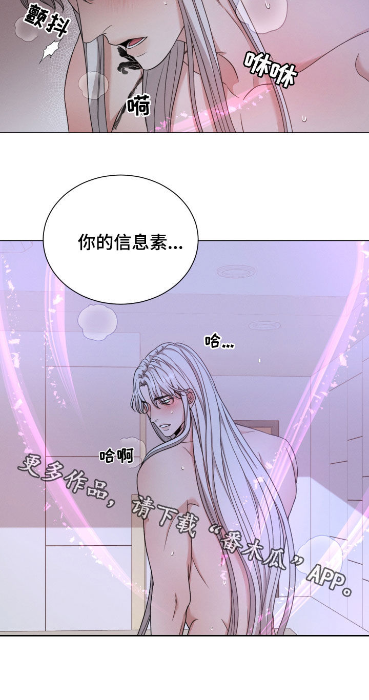 《唯你独闻》漫画最新章节第102章：【第二季】不让你们受伤免费下拉式在线观看章节第【1】张图片