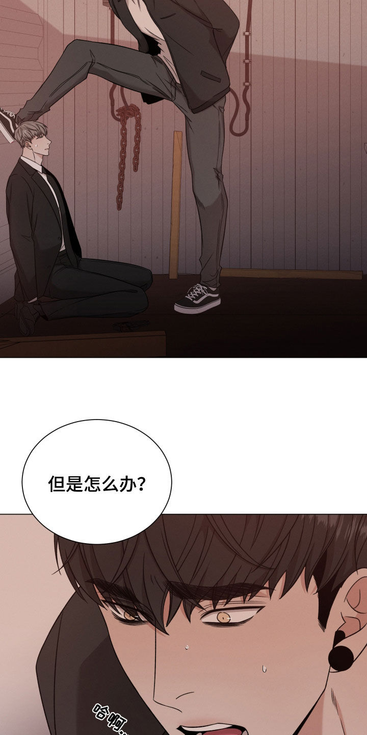 《唯你独闻》漫画最新章节第114章：【第二季】疯话免费下拉式在线观看章节第【10】张图片