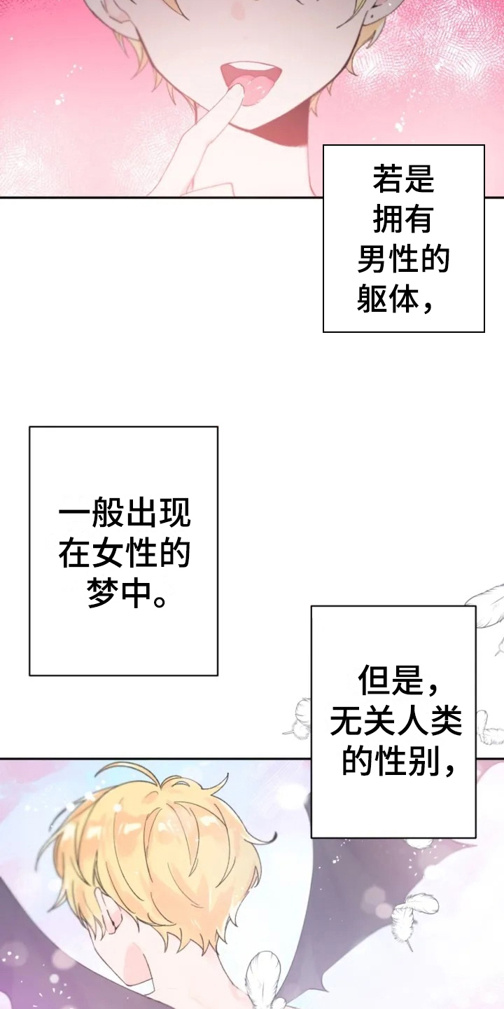 《等待夜晚》漫画最新章节第1章：目标免费下拉式在线观看章节第【13】张图片