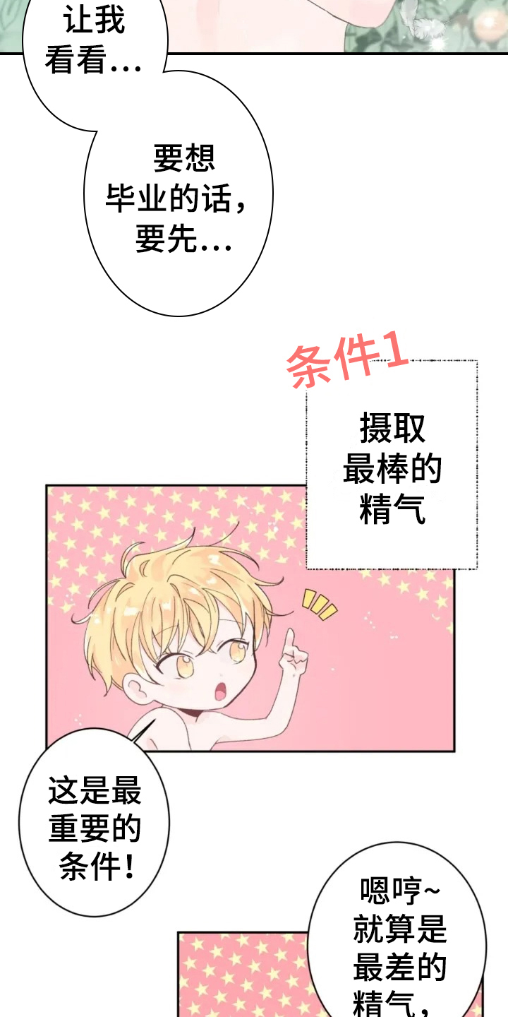 《等待夜晚》漫画最新章节第1章：目标免费下拉式在线观看章节第【11】张图片